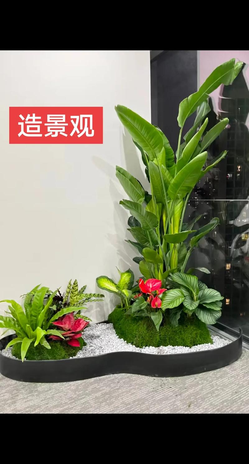 办公室绿植租赁 提升企业形象与员工幸福感的双赢之选