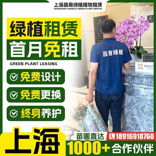 上海办公室绿植租赁与养护全指南 从选品到上门服务