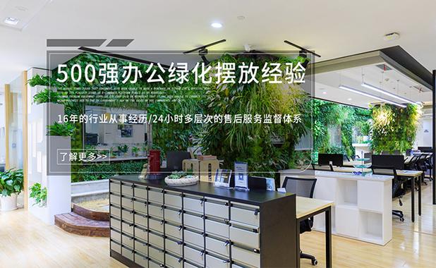 上海绿植租赁公司分享 室内植物花卉十大养护原则
